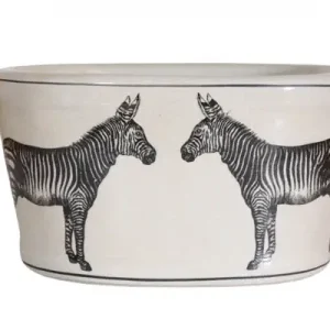 Zebra kruka, oval Kampanjpris
