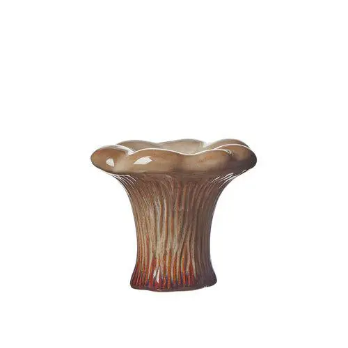 Erbjudandepris Svamp Kantarell Beige 10x11cm