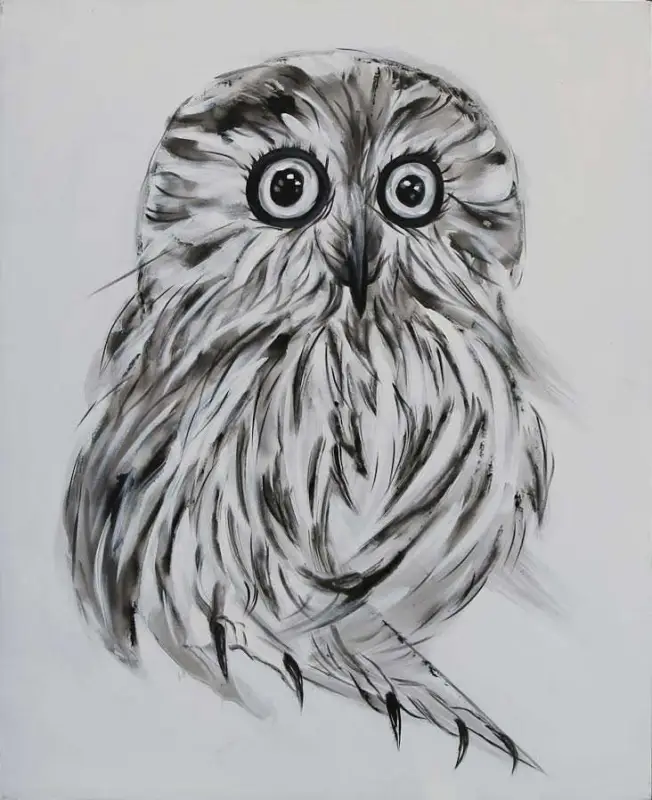 Tavla 80×100 cm Uggla Billig