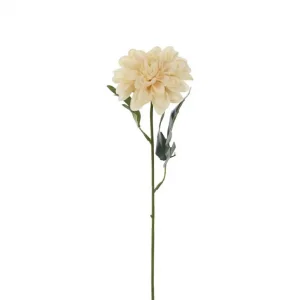 Zinnia Kvist Beige 10x45cm Sista chansen