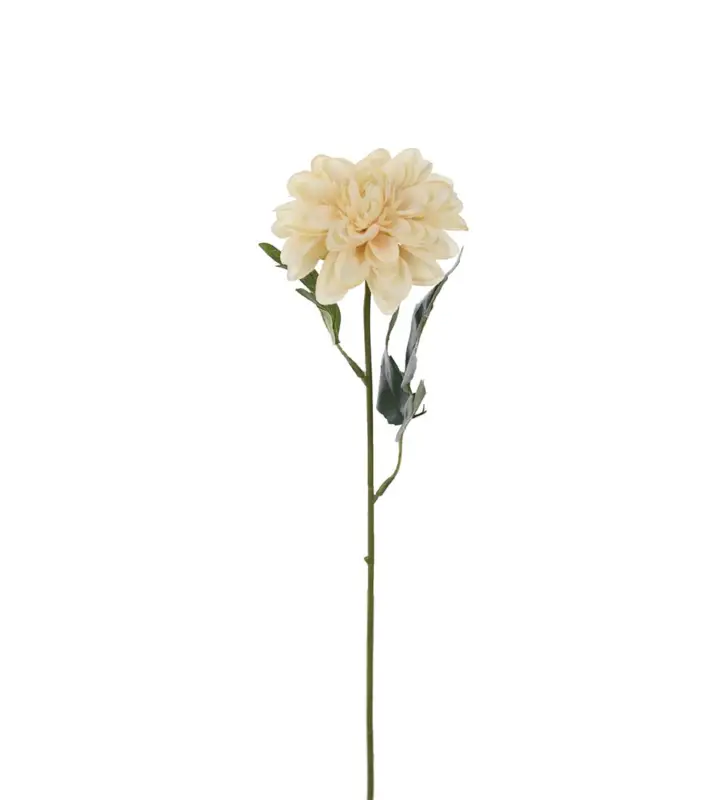 Zinnia Kvist Beige 10x45cm Sista chansen