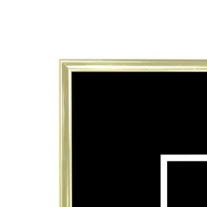 Erbjudande Ram Smal Guld 50X70