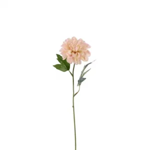 Zinnia Kvist Rosa 10x45cm Begränsad tid
