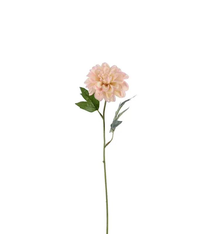 Zinnia Kvist Rosa 10x45cm Begränsad tid