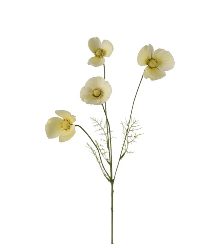 Snabb leverans Rosenskära Kvist Gul 60cm