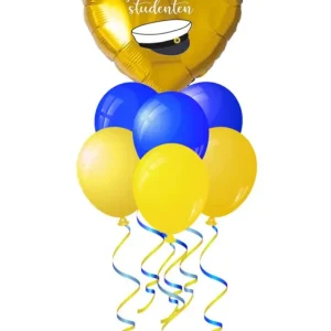 Ballongbukett 1st Student Hjärta 6st Blågula Billig
