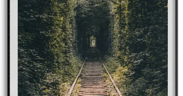 Vacker Natur & Järnväg - Poster Nyhet