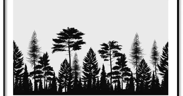Fri frakt Skog & växter - Simpel illustration