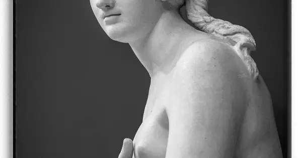 Venus Staty - Svartvit Poster Kundfavorit
