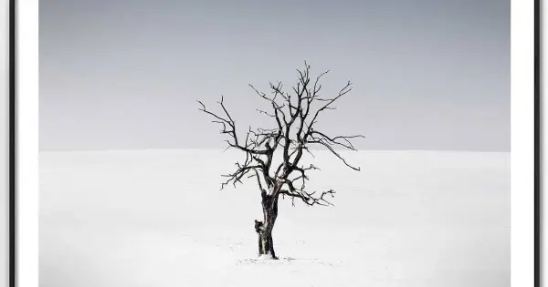 Träd utan löv - Enkel tavla Endast idag