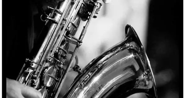 Nyhet Saxofon - Musiktavla i svartvitt