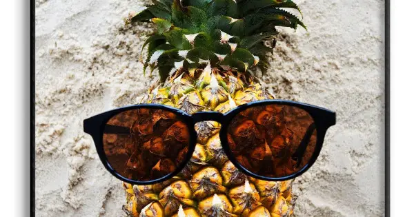 Sista chansen Ananas med Solglasögon - Retro Poster