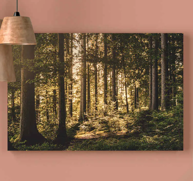 Billig Canvastavla "natur" middagsskogsträd