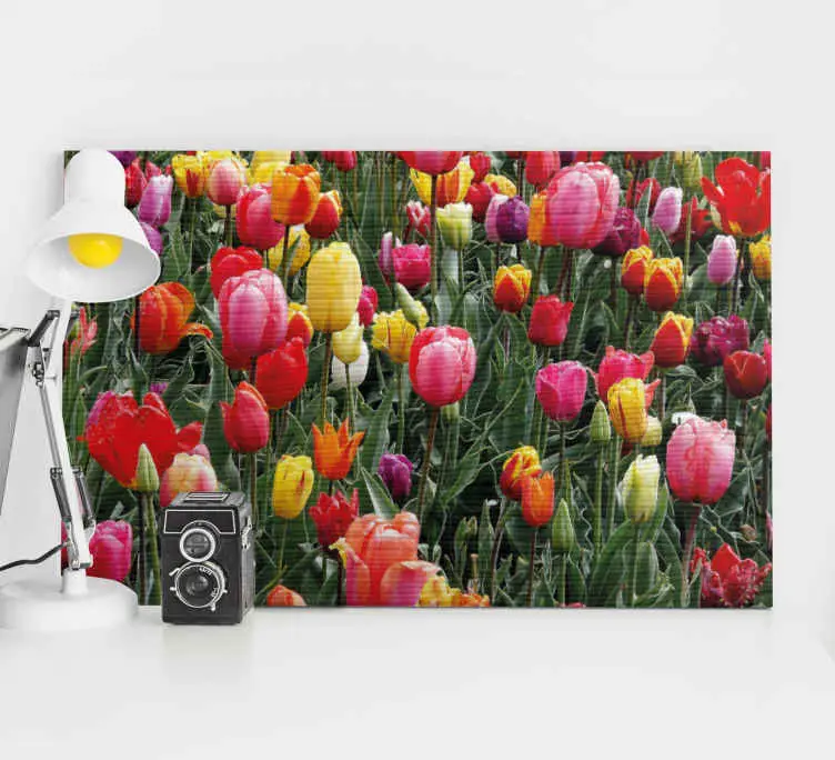 Köp online Kanvas blommor och växter färgglada tulpaner