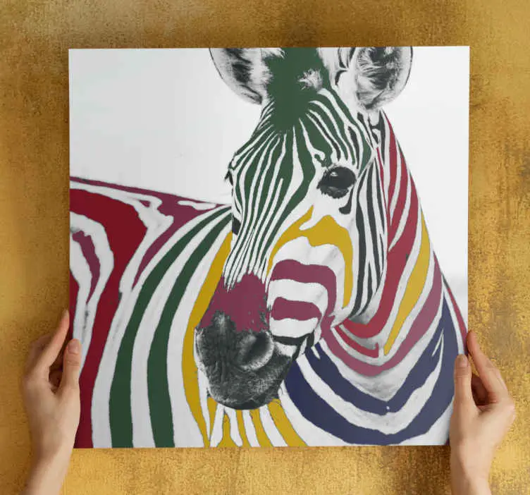 Kanvas djur färgglad zebra porträtt Handla nu
