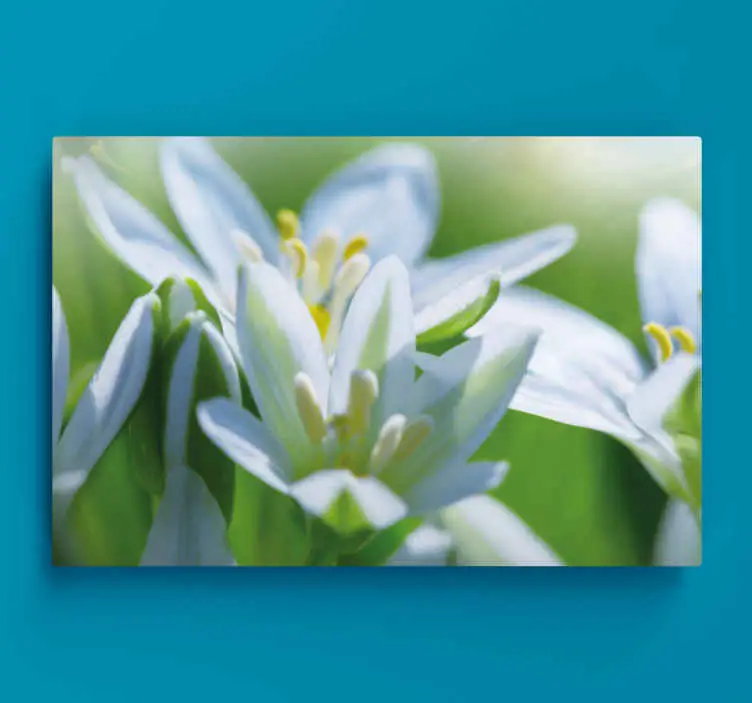 Snabb leverans äng av magnifika snödroppar blommigcanvas tavla