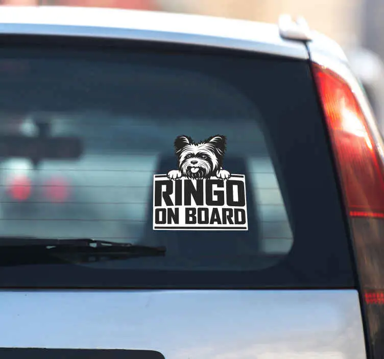 Trevlig yorkshire hund kikar bil dekal Outlet