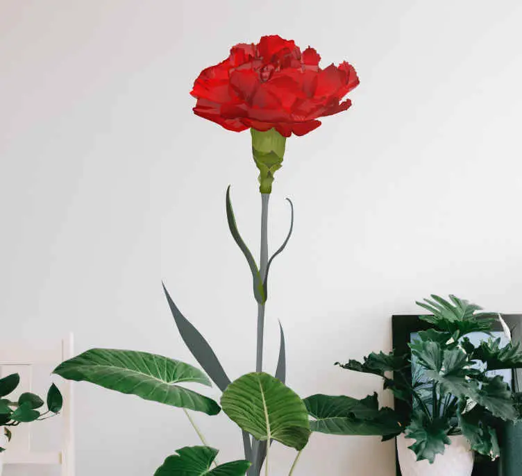 Endast denna vecka Röd kryddnejlika blomma väggdekor