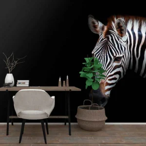 Zebra detalj porträtt Fototapeter djur Erbjudandepris
