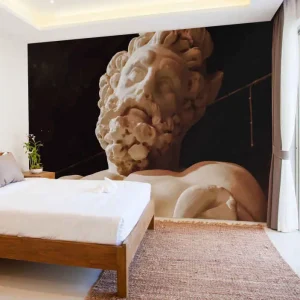 Zeus på svart bakgrund vardagsrum fototapeta Trygg betalning
