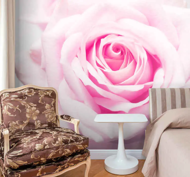 Elegant stor rosa ros fototapeta Beställ nu