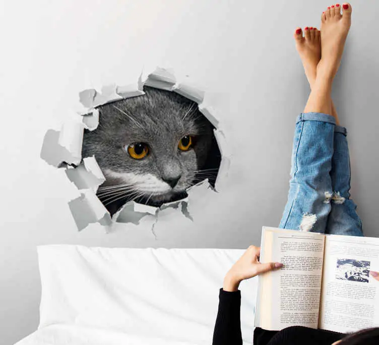 Fynd Söt katt fototapeta tapet