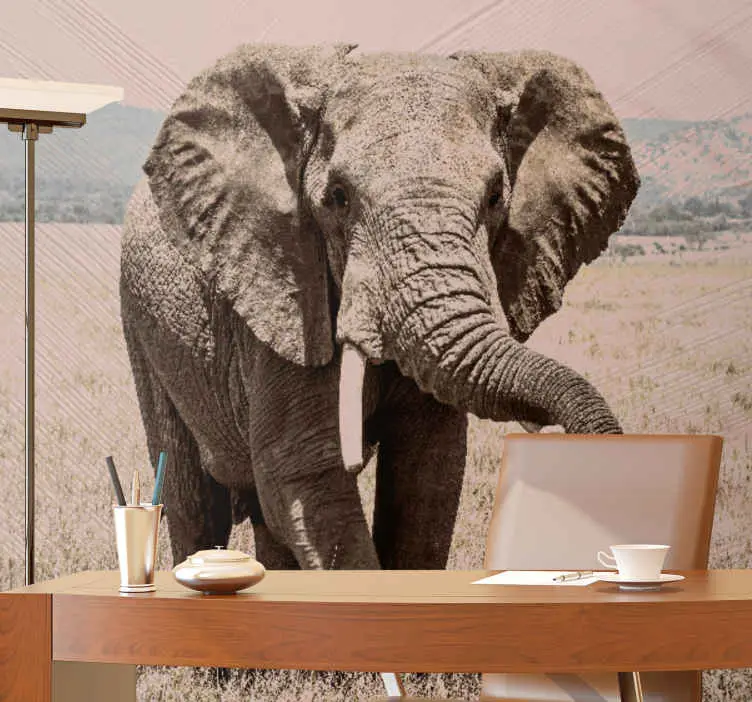 Endast denna vecka Fototapeter Övriga djur regal elefant aura