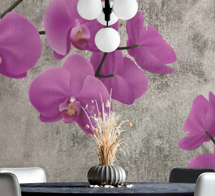 Fototapeter blommor rosorkidé blommor risnedsättning