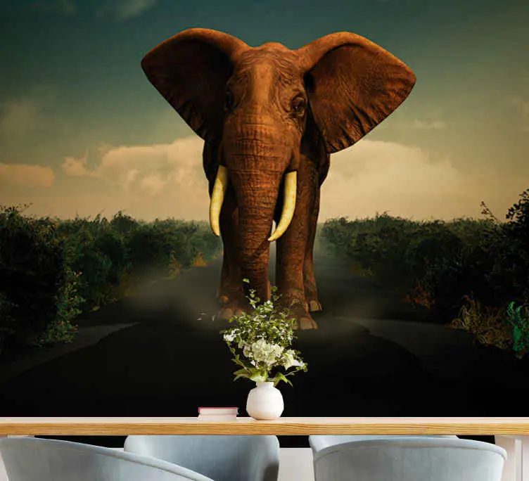 Fototapeter djur majestätisk elefant Bästa pris
